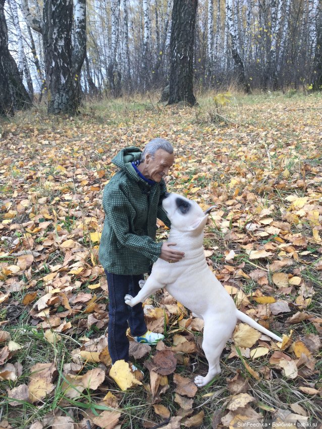 Матвей Сергеевич на прогулке с Сенсеем (фото 4)