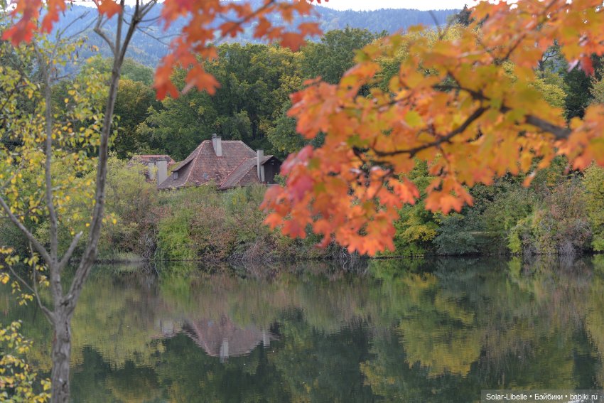 Плачет золотом листьев осень. Куколка Дианы Эффнер (фото 9)