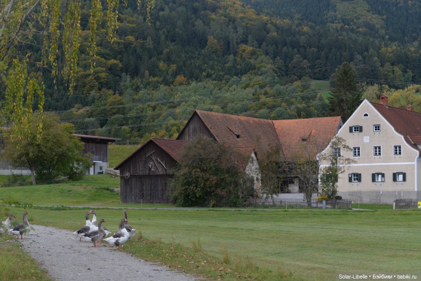 Плачет золотом листьев осень. Куколка Дианы Эффнер (фото 7)