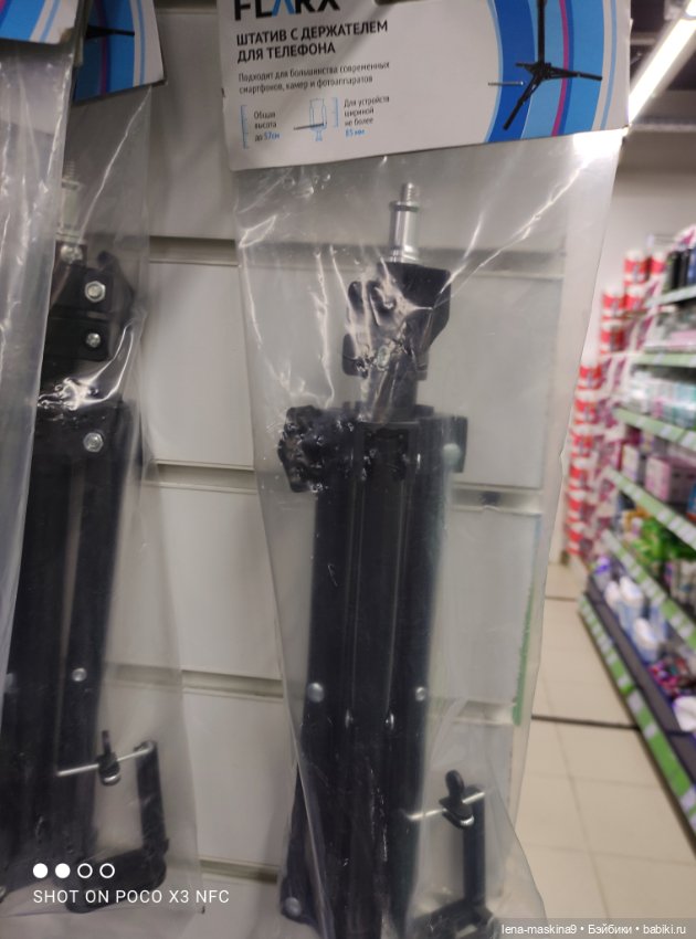 Фикс-Прайс, парк и всякая живность