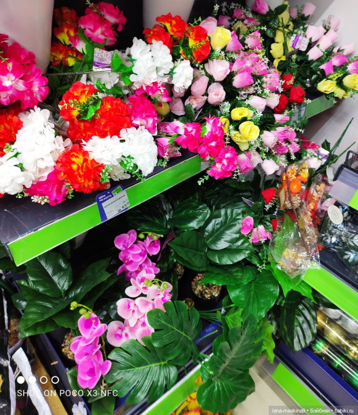 Фикс-Прайс, парк и всякая живность