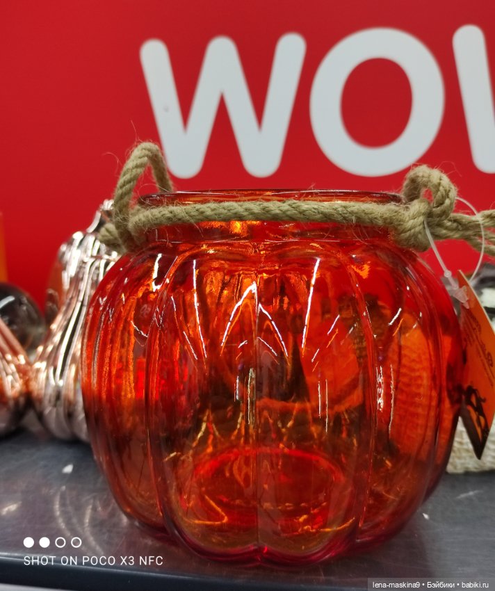 Фикс-Прайс, парк и всякая живность