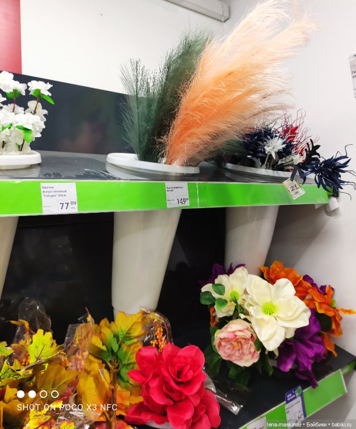 Фикс-Прайс, парк и всякая живность