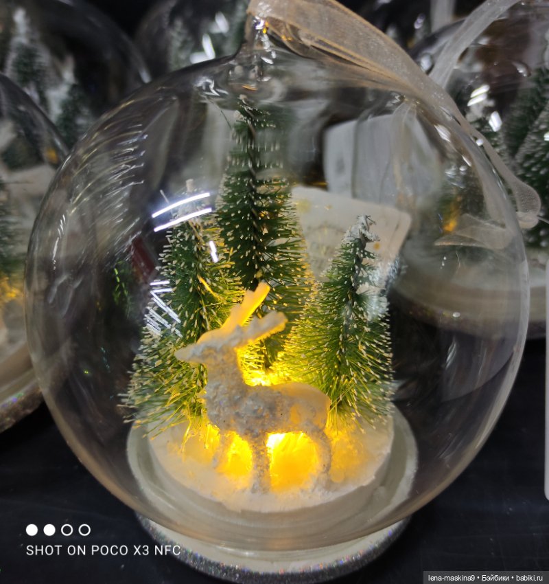 Фикс-Прайс, парк и всякая живность