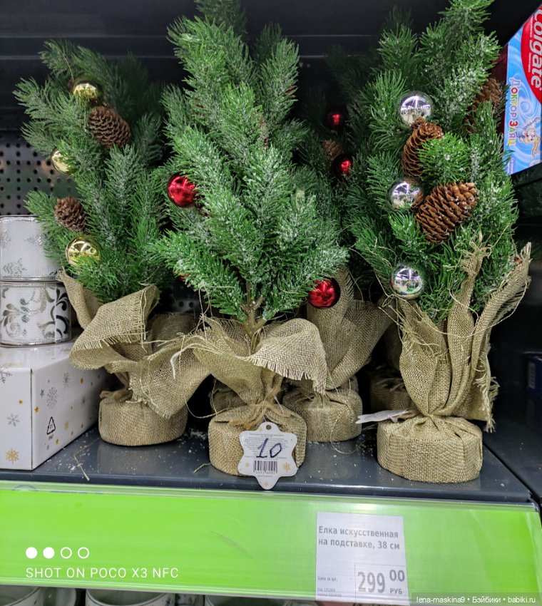 Фикс-Прайс, парк и всякая живность