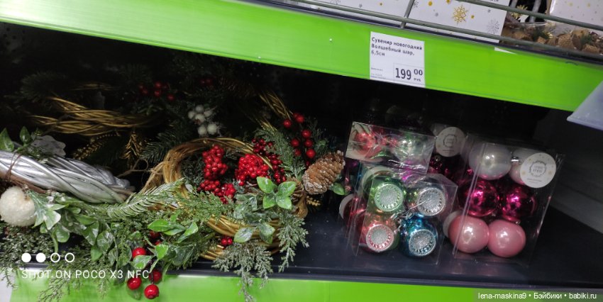 Фикс-Прайс, парк и всякая живность (фото 6)