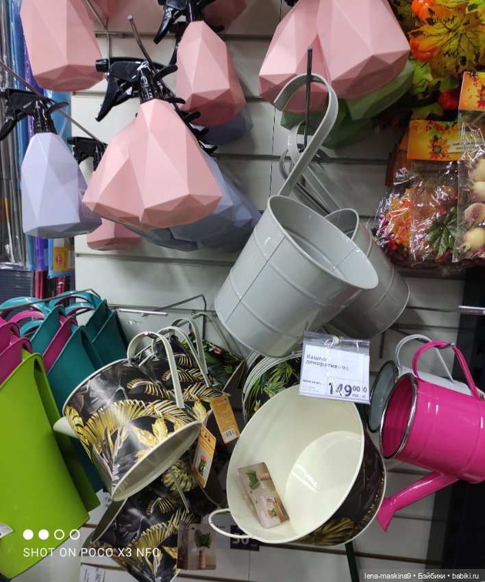 Фикс-Прайс, парк и всякая живность