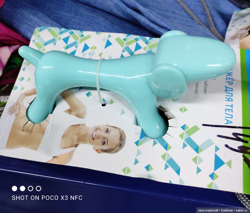 Фикс-Прайс, парк и всякая живность