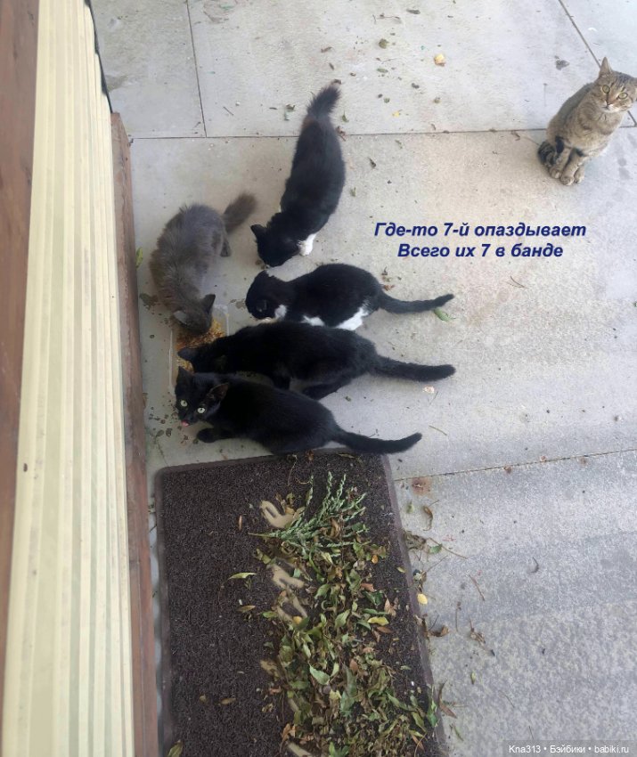 Фотозарисовки из отпуска. Начало