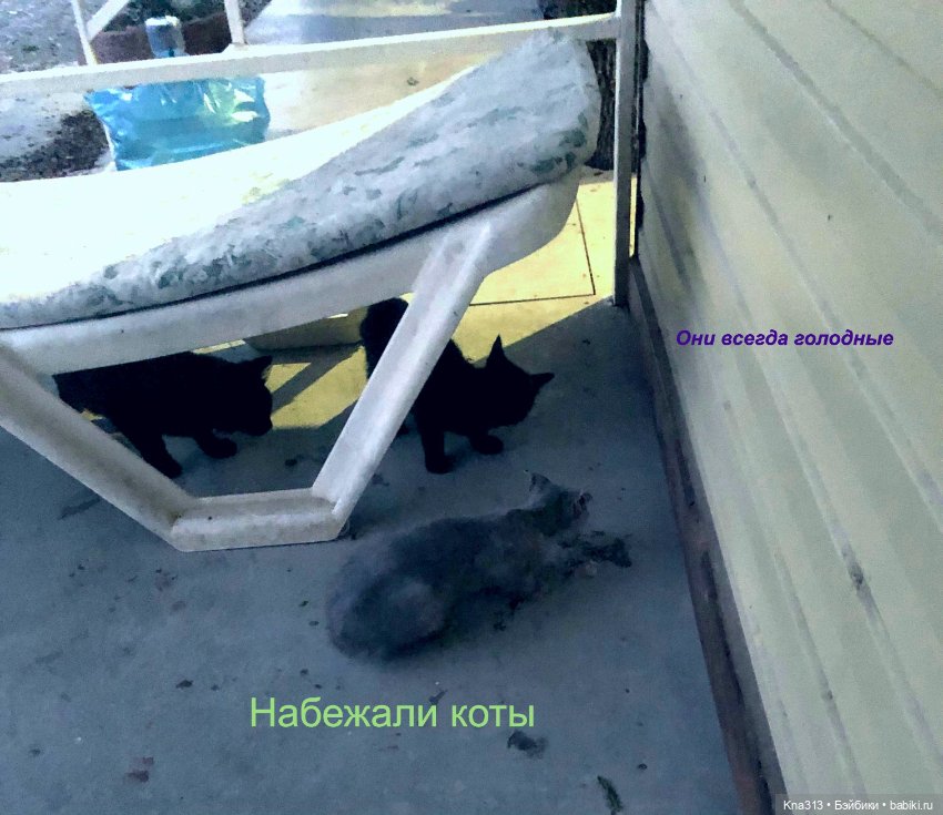 Фотозарисовки из отпуска. Начало (фото 9)