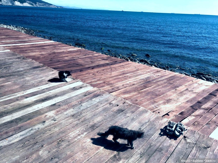 Фотозарисовки из отпуска. Начало