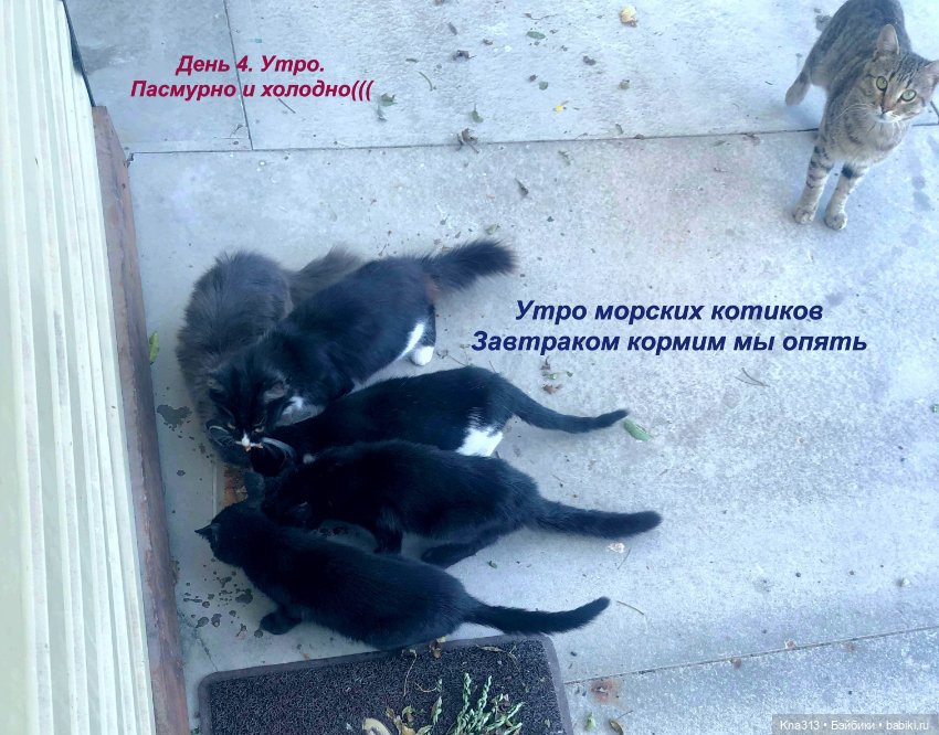 Фотозарисовки из отпуска. Начало