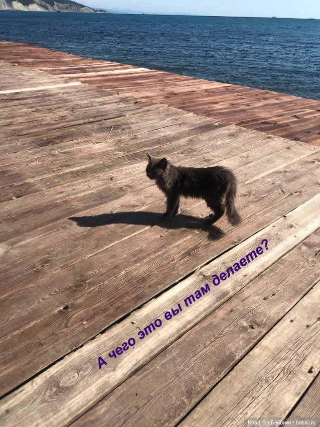 Фотозарисовки из отпуска. Начало