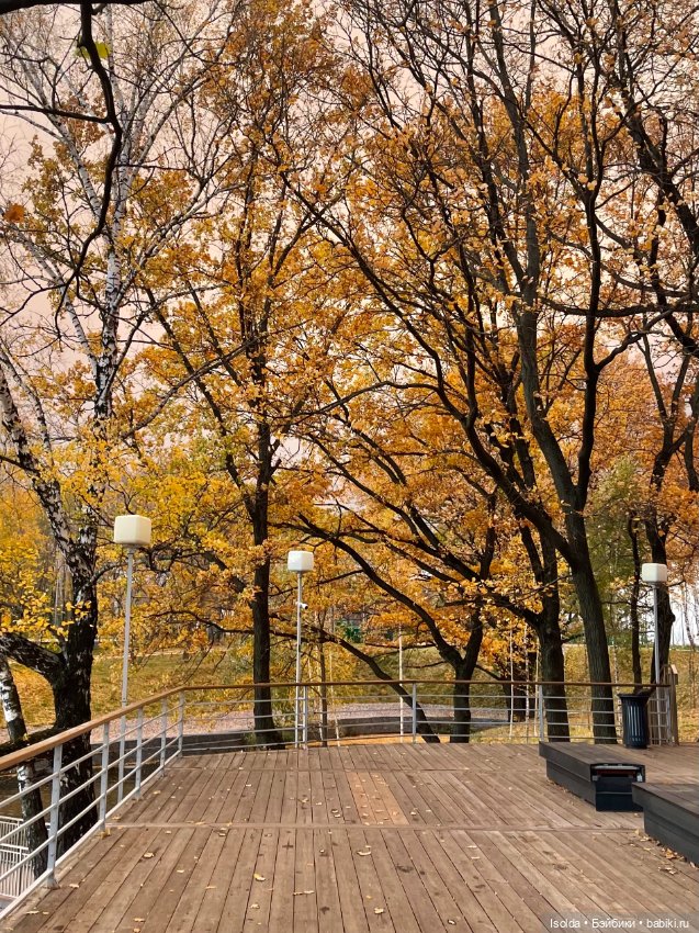 Птички и Наби с Сайей на прогулках этой осенью