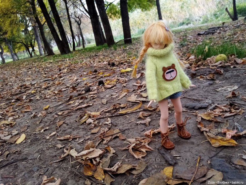 Осеннее настроение — Куклы и тела Obitsu (Обитсу): 1/6 (фото 9)