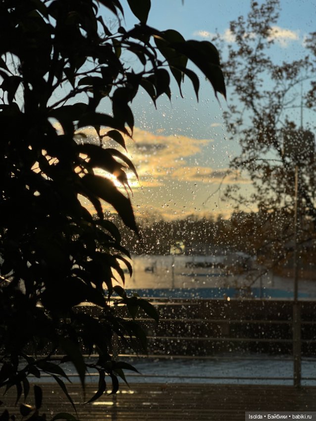 Птички и Наби с Сайей на прогулках этой осенью