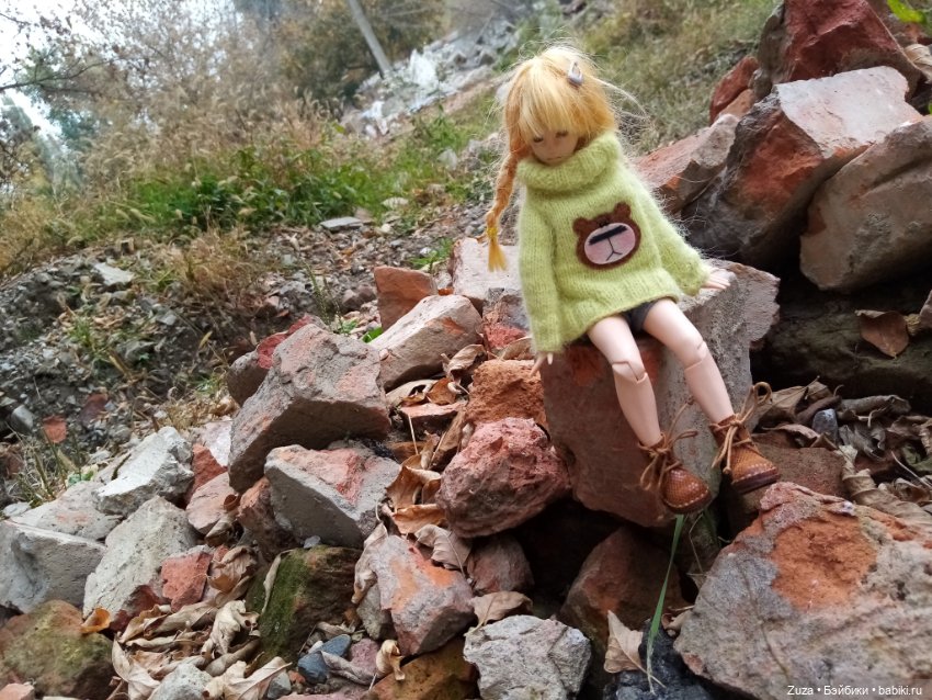 Осеннее настроение — Куклы и тела Obitsu (Обитсу): 1/6