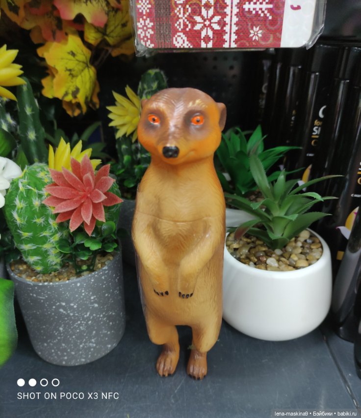 Фикс-Прайс ,новинки — Интересное и необычное: фотоподборки (фото 10)