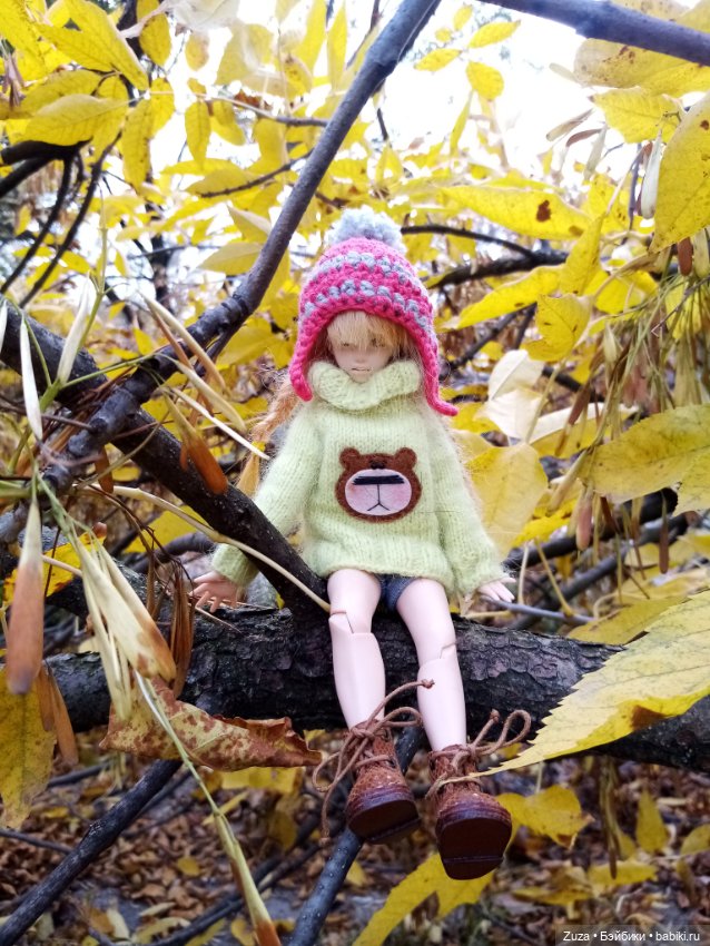 Осеннее настроение — Куклы и тела Obitsu (Обитсу): 1/6 (фото 3)