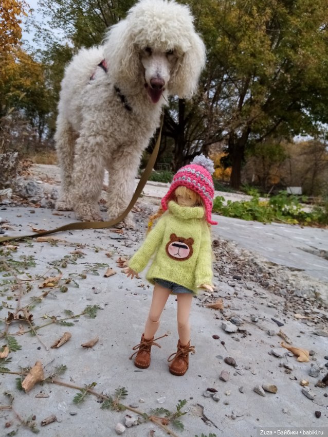 Осеннее настроение — Куклы и тела Obitsu (Обитсу): 1/6 (фото 5)