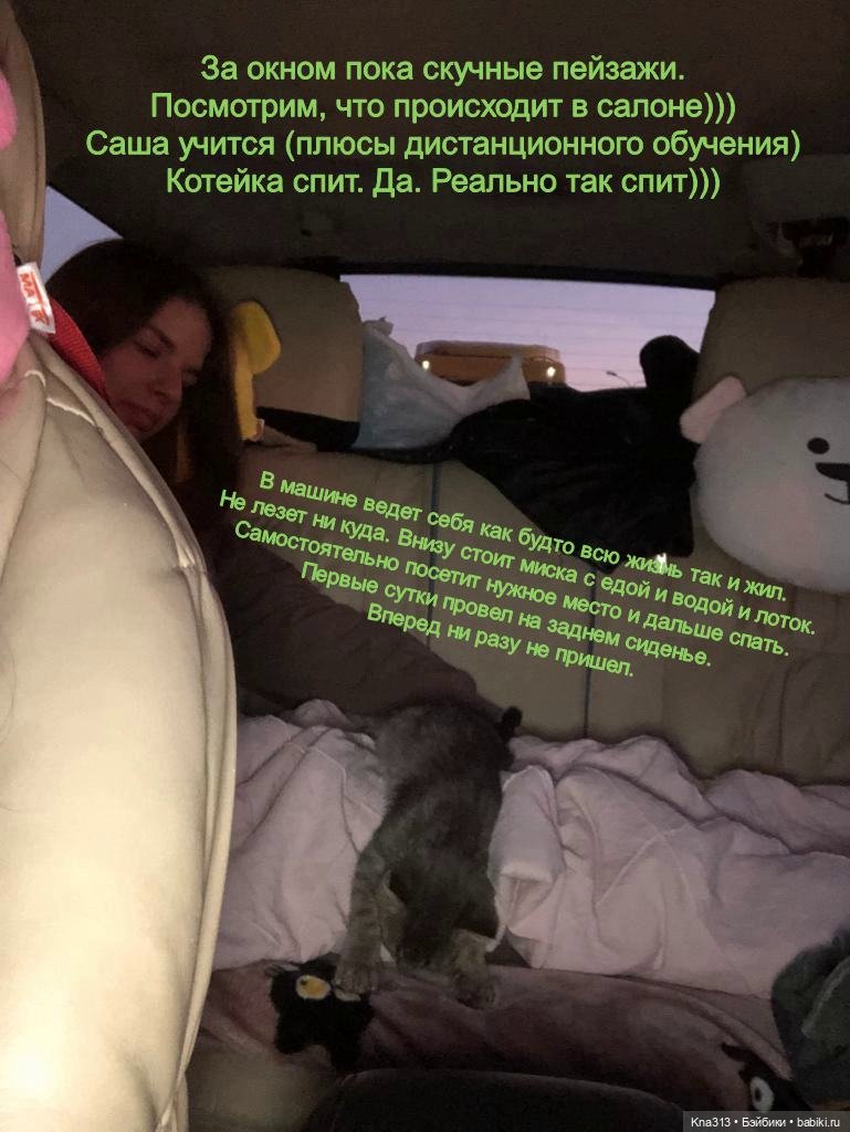 Фотозарисовки из отпуска. Продолжение