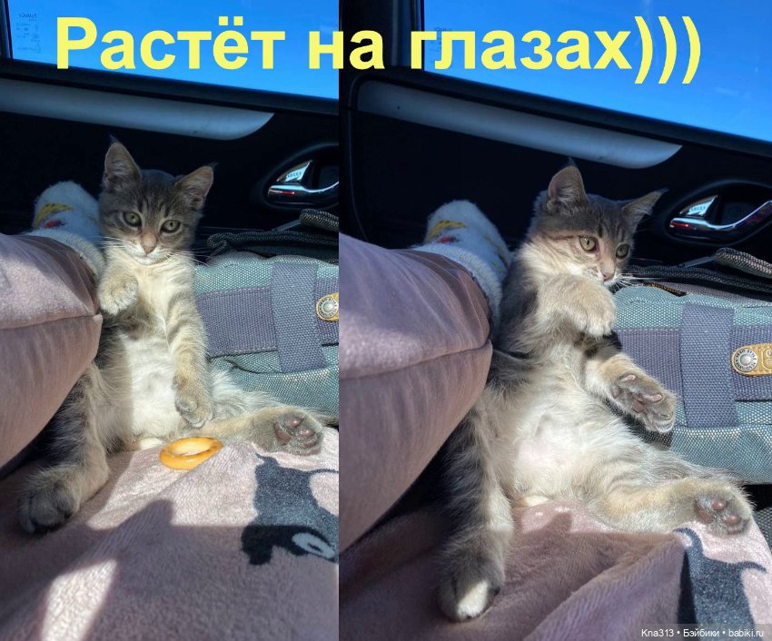 Фотозарисовки из отпуска. Продолжение