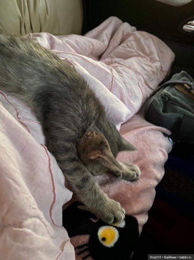 Фотозарисовки из отпуска. Продолжение