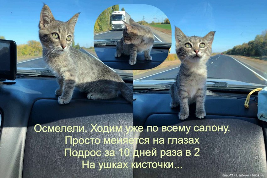 Фотозарисовки из отпуска. Продолжение