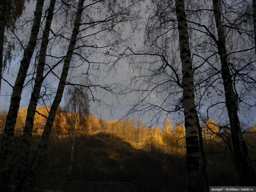 Moxie Teenz и осень — Куклы Bratz (Братц) и Moxie Girlz: MGA (фото 9)