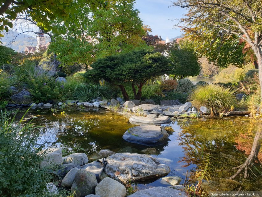 Просто осенний день. Куколка Ruby Red (фото 8)