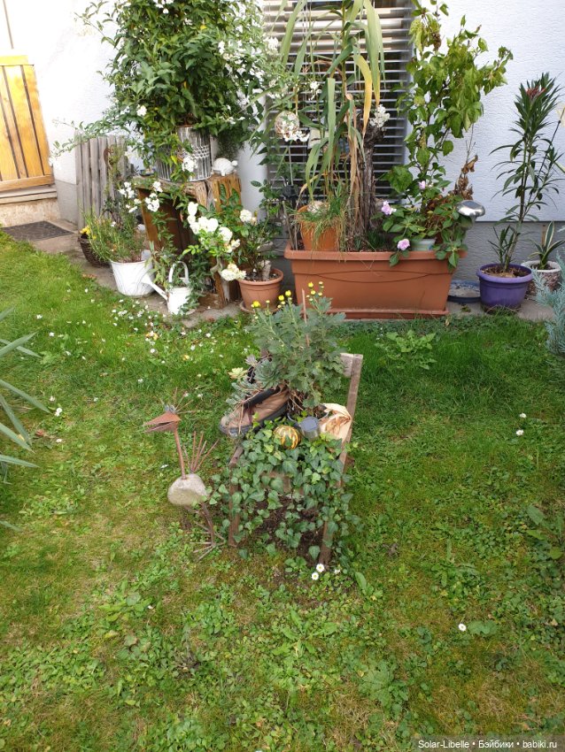 Просто осенний день. Куколка Ruby Red