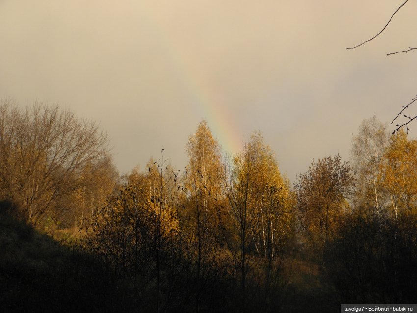 Moxie Teenz и осень — Куклы Bratz (Братц) и Moxie Girlz: MGA