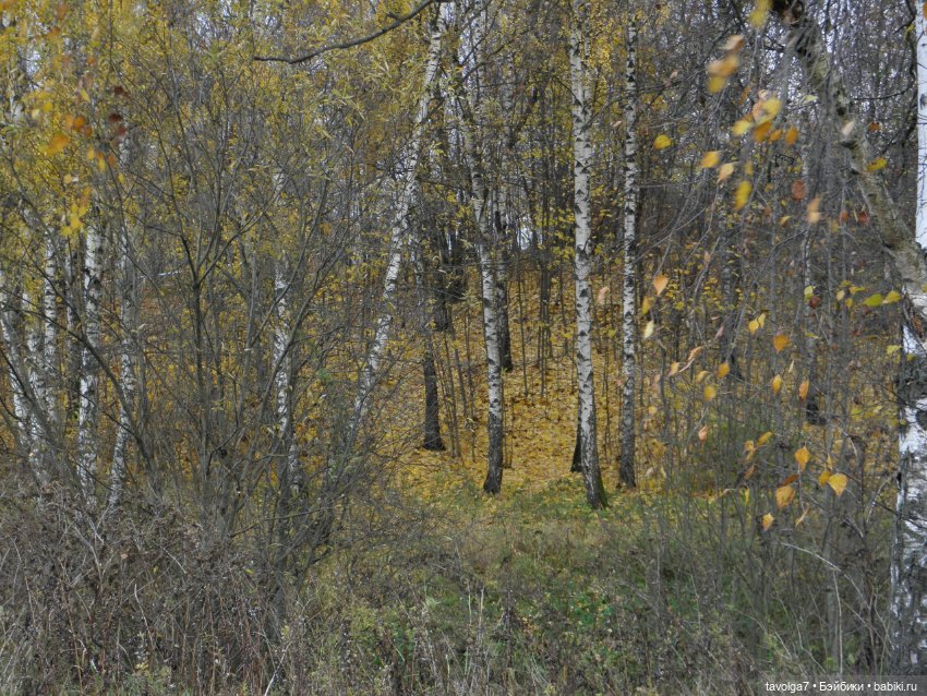 Moxie Teenz и осень — Куклы Bratz (Братц) и Moxie Girlz: MGA (фото 6)