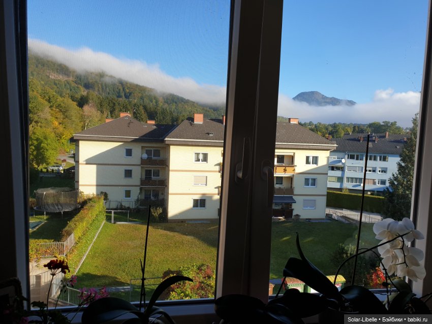 Просто осенний день. Куколка Ruby Red (фото 2)