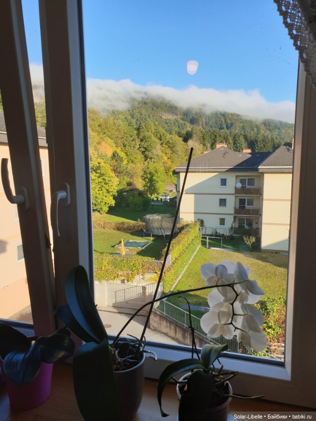 Просто осенний день. Куколка Ruby Red