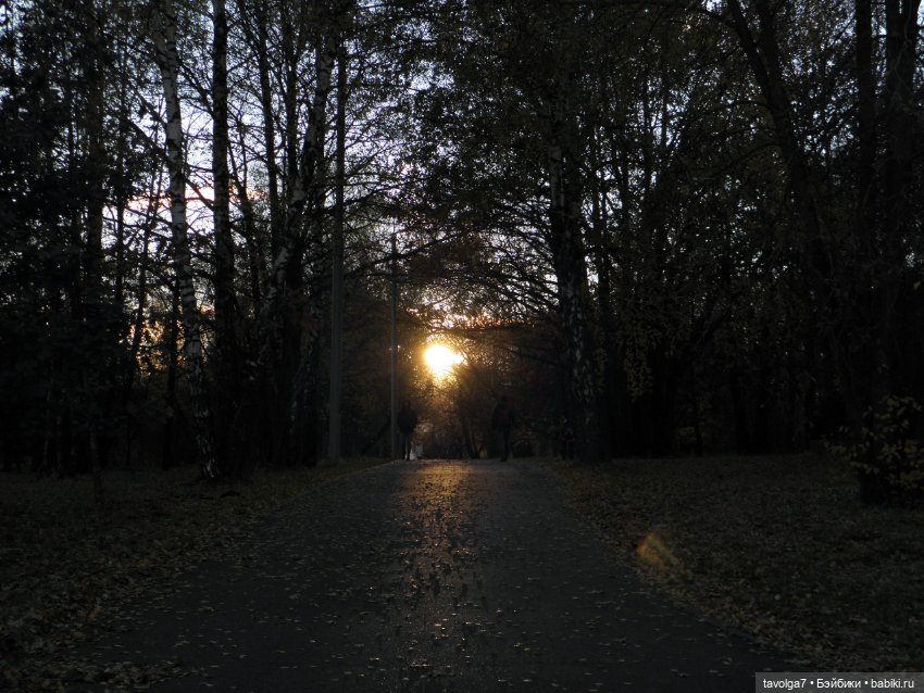 Moxie Teenz и осень — Куклы Bratz (Братц) и Moxie Girlz: MGA