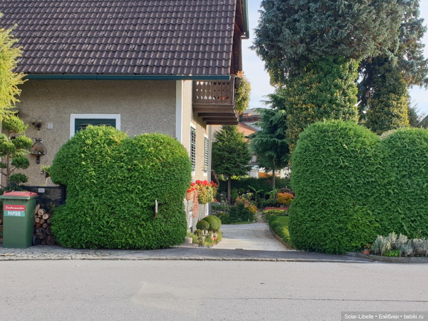 Просто осенний день. Куколка Ruby Red