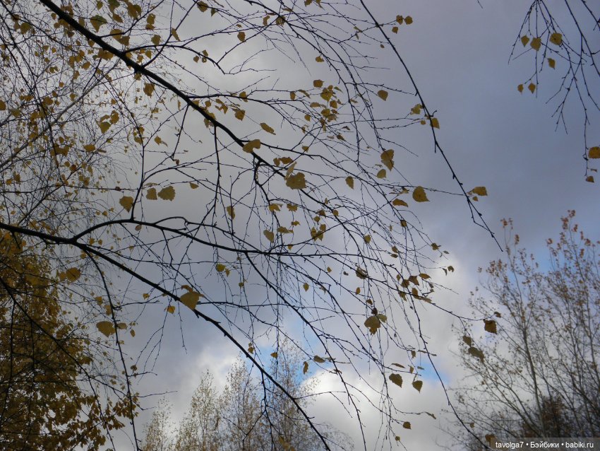 Moxie Teenz и осень — Куклы Bratz (Братц) и Moxie Girlz: MGA (фото 2)