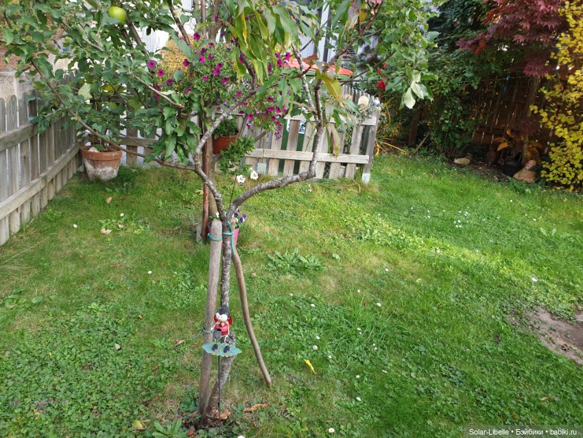 Просто осенний день. Куколка Ruby Red