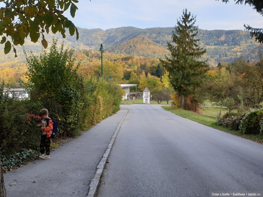 Просто осенний день. Куколка Ruby Red