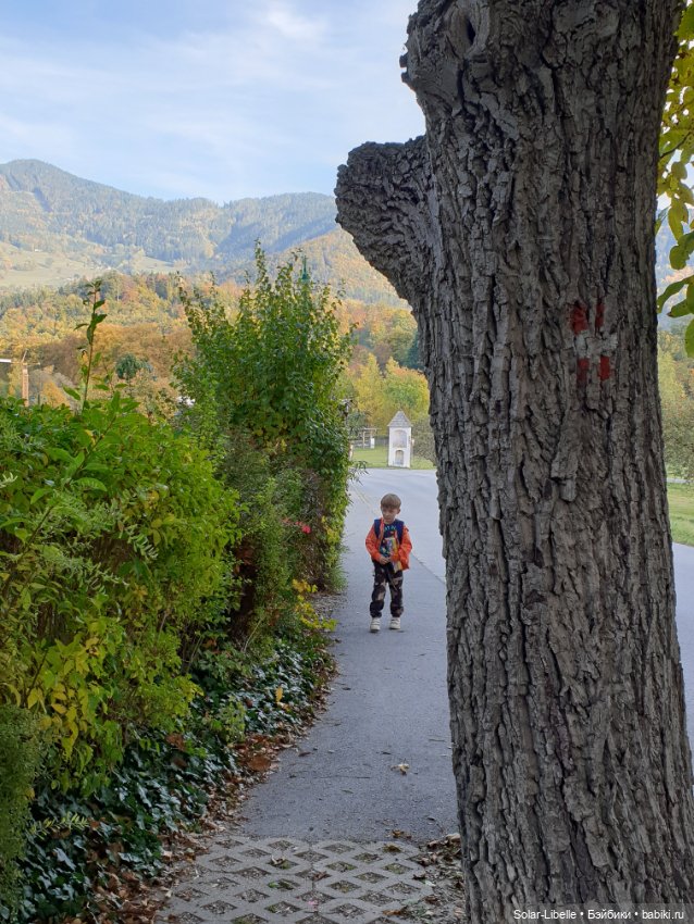 Просто осенний день. Куколка Ruby Red