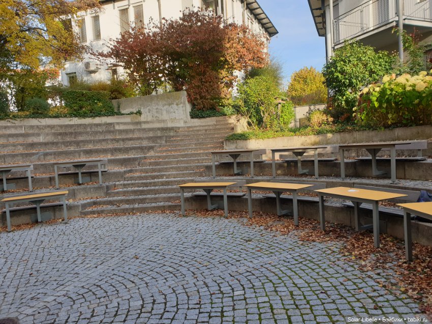 Просто осенний день. Куколка Ruby Red