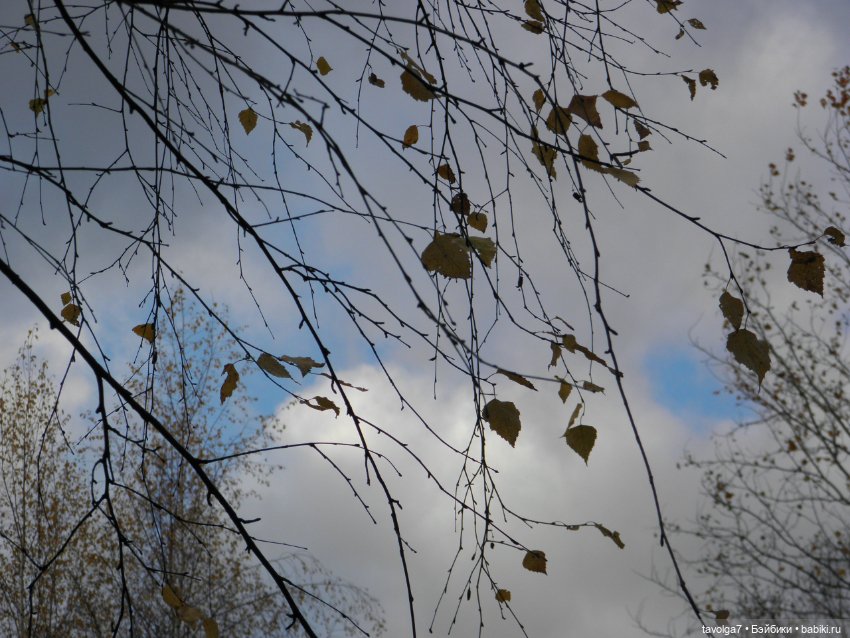 Moxie Teenz и осень — Куклы Bratz (Братц) и Moxie Girlz: MGA (фото 3)