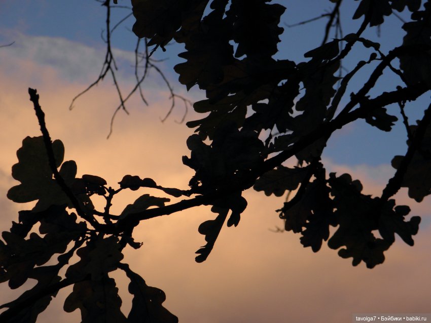 Moxie Teenz и осень — Куклы Bratz (Братц) и Moxie Girlz: MGA