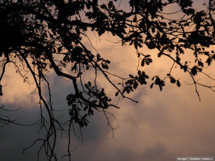 Moxie Teenz и осень — Куклы Bratz (Братц) и Moxie Girlz: MGA