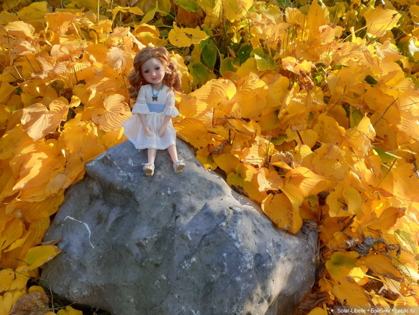 Просто осенний день. Куколка Ruby Red (фото 10)