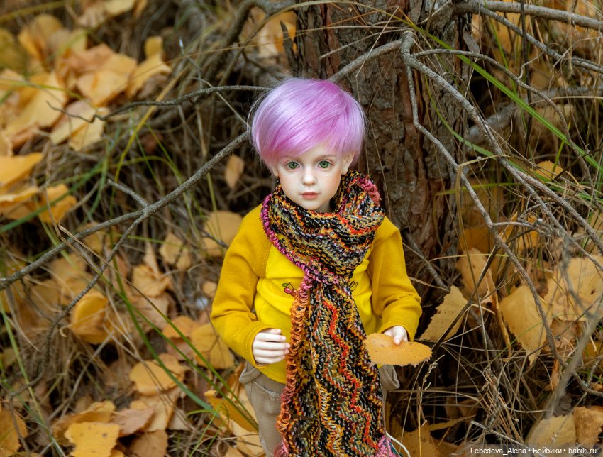 Мия. Дети осени — Куклы Dollshe Craft (Доллше): BJD (БЖД) (фото 6)