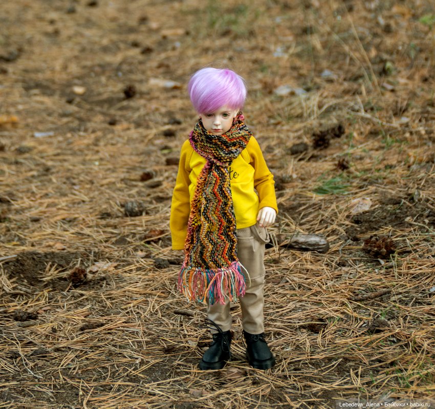Мия. Дети осени — Куклы Dollshe Craft (Доллше): BJD (БЖД) (фото 4)