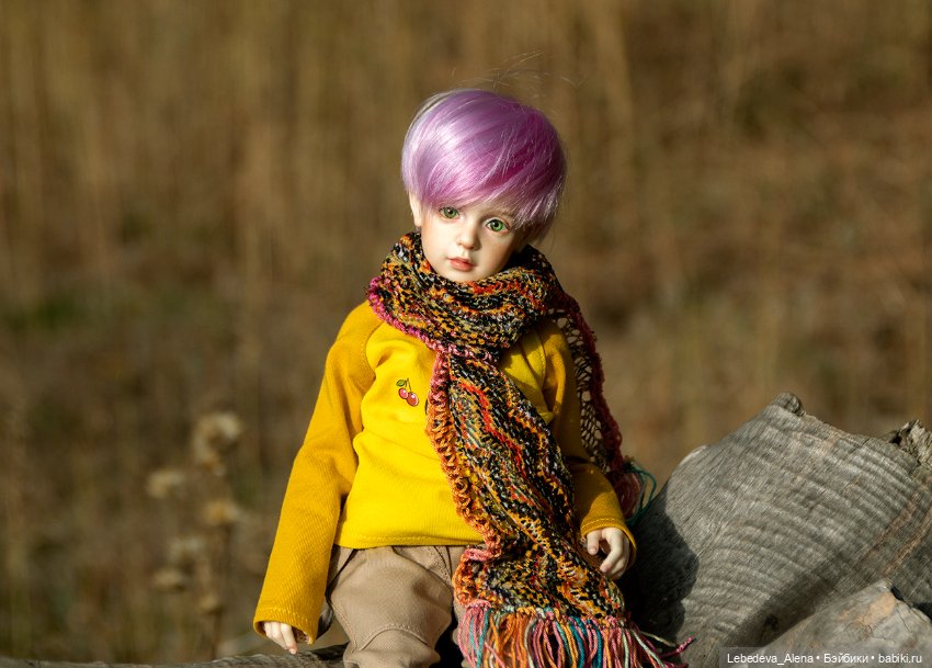 Мия. Дети осени — Куклы Dollshe Craft (Доллше): BJD (БЖД) (фото 2)