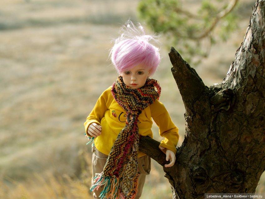 Мия. Дети осени — Куклы Dollshe Craft (Доллше): BJD (БЖД) (фото 8)